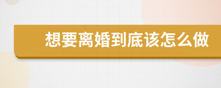 想要離婚到底該怎么做