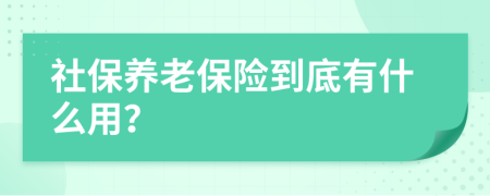 社保養(yǎng)老保險到底有什么用？