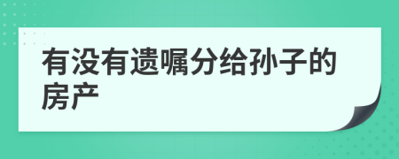 有沒有遺囑分給孫子的房產(chǎn)