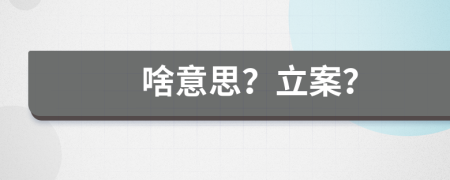 啥意思？立案？