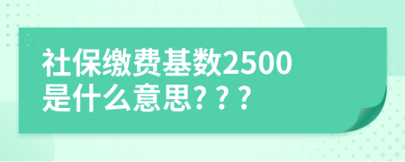 社保繳費基數2500是什么意思? ? ?