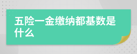 五險(xiǎn)一金繳納都基數(shù)是什么