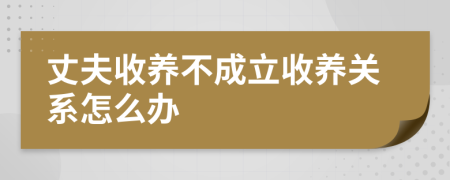 丈夫收養(yǎng)不成立收養(yǎng)關系怎么辦