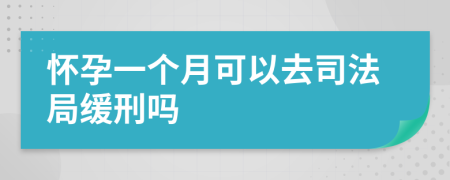 懷孕一個月可以去司法局緩刑嗎