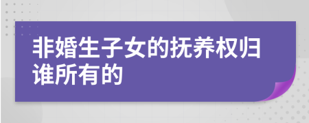 非婚生子女的撫養(yǎng)權(quán)歸誰所有的