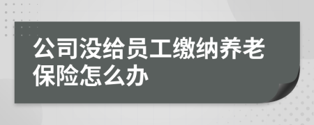 公司沒給員工繳納養(yǎng)老保險(xiǎn)怎么辦