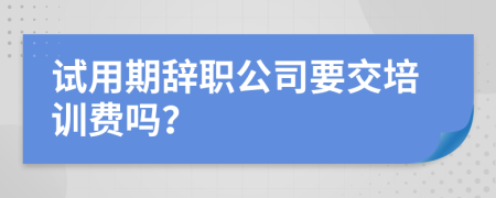 試用期辭職公司要交培訓(xùn)費(fèi)嗎?