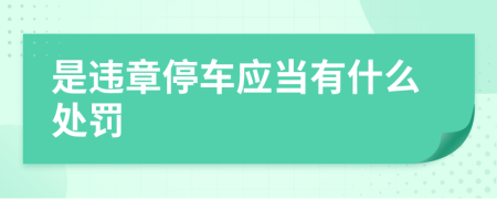 是違章停車應當有什么處罰