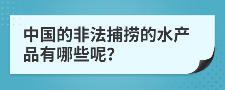 中國的非法捕撈的水產(chǎn)品有哪些呢？