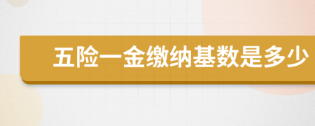 五險一金繳納基數(shù)是多少