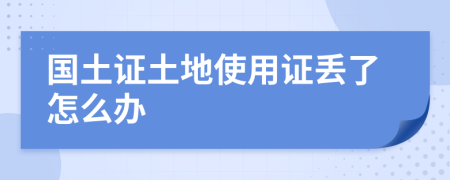 國土證土地使用證丟了怎么辦