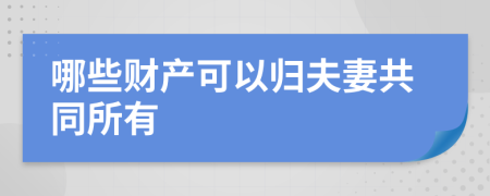 哪些財(cái)產(chǎn)可以歸夫妻共同所有
