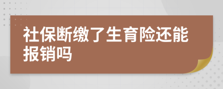 社保斷繳了生育險(xiǎn)還能報(bào)銷嗎