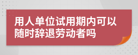 用人單位試用期內(nèi)可以隨時(shí)辭退勞動(dòng)者嗎