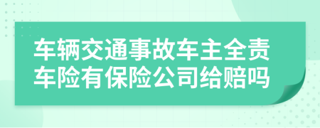 車輛交通事故車主全責(zé)車險(xiǎn)有保險(xiǎn)公司給賠嗎