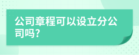 公司章程可以設立分公司嗎?
