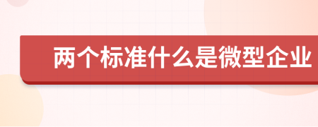 兩個標準什么是微型企業(yè)