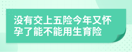 沒(méi)有交上五險(xiǎn)今年又懷孕了能不能用生育險(xiǎn)