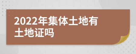 2022年集體土地有土地證嗎