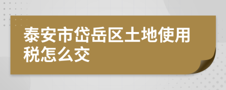 泰安市岱岳區(qū)土地使用稅怎么交