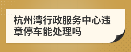 杭州灣行政服務(wù)中心違章停車能處理嗎