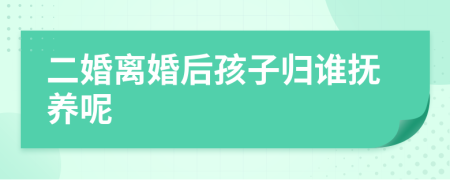 二婚離婚后孩子歸誰撫養(yǎng)呢