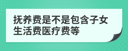 撫養(yǎng)費(fèi)是不是包含子女生活費(fèi)醫(yī)療費(fèi)等