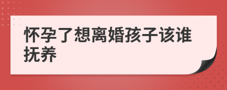 懷孕了想離婚孩子該誰撫養(yǎng)