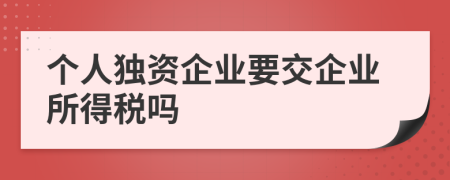 個人獨資企業(yè)要交企業(yè)所得稅嗎