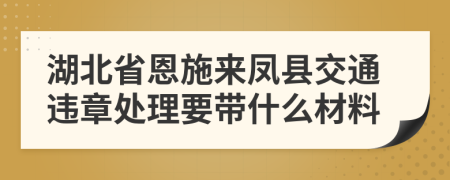 湖北省恩施來(lái)鳳縣交通違章處理要帶什么材料