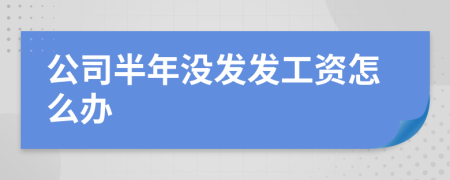 公司半年沒(méi)發(fā)發(fā)工資怎么辦