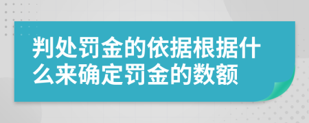 判處罰金的依據(jù)根據(jù)什么來確定罰金的數(shù)額