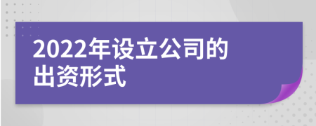 2022年设立公司的出资形式