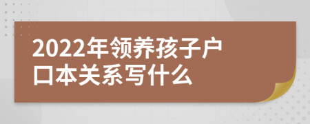2022年領(lǐng)養(yǎng)孩子戶口本關(guān)系寫什么