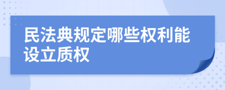 民法典規(guī)定哪些權(quán)利能設(shè)立質(zhì)權(quán)