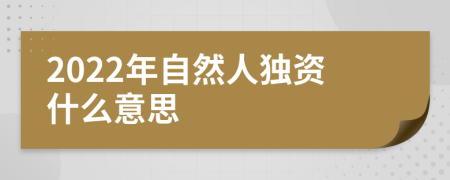 2022年自然人獨資什么意思