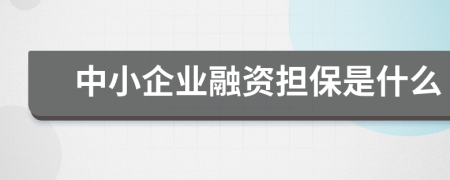 中小企業(yè)融資擔(dān)保是什么