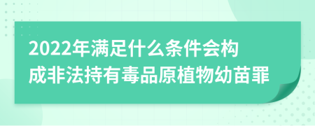 2022年滿足什么條件會構(gòu)成非法持有毒品原植物幼苗罪