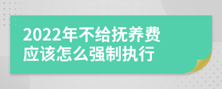 2022年不給撫養(yǎng)費(fèi)應(yīng)該怎么強(qiáng)制執(zhí)行