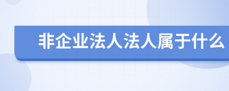 非企業(yè)法人法人屬于什么