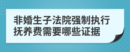非婚生子法院強制執(zhí)行撫養(yǎng)費需要哪些證據(jù)