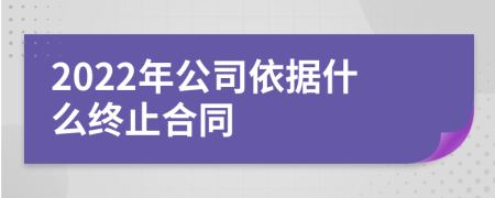 2022年公司依據(jù)什么終止合同