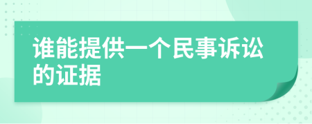 誰能提供一個民事訴訟的證據(jù)
