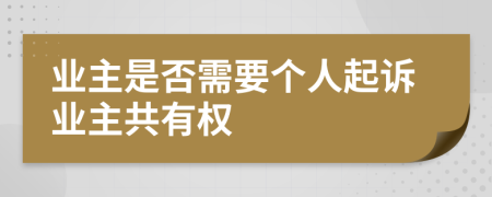 業(yè)主是否需要個(gè)人起訴業(yè)主共有權(quán)