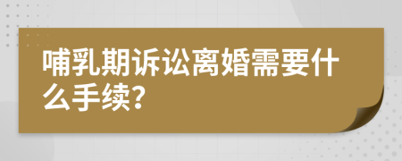 哺乳期訴訟離婚需要什么手續(xù)？