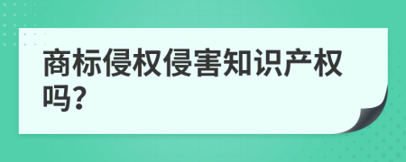 商標侵權(quán)侵害知識產(chǎn)權(quán)嗎？
