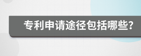 專(zhuān)利申請(qǐng)途徑包括哪些？