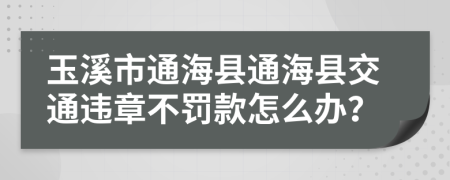 玉溪市通?？h通海縣交通違章不罰款怎么辦？