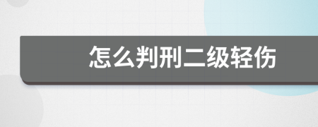 怎么判刑二級(jí)輕傷