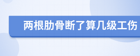 兩根肋骨斷了算幾級工傷
